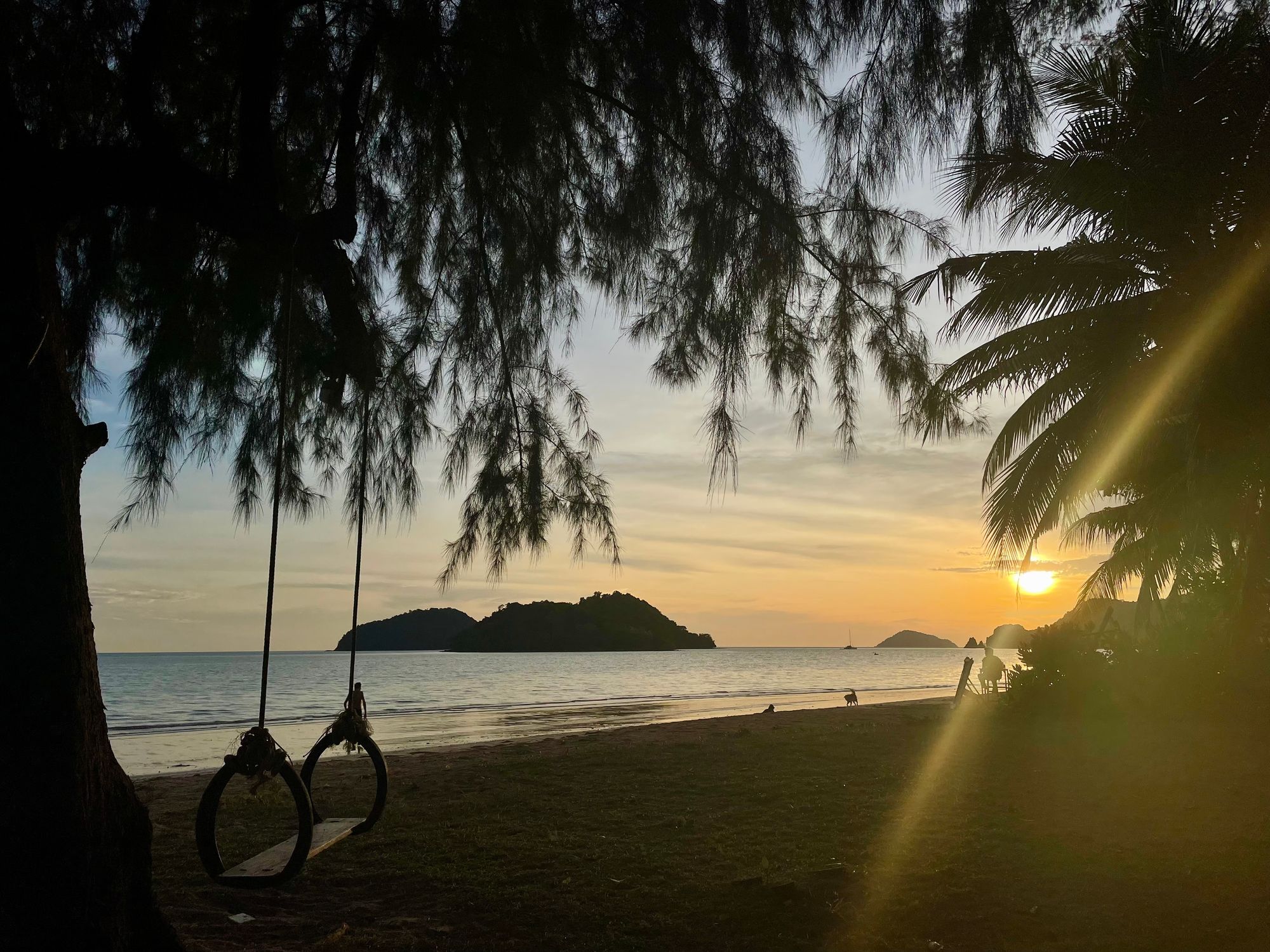 Sunset, beach, ocean, tree, 