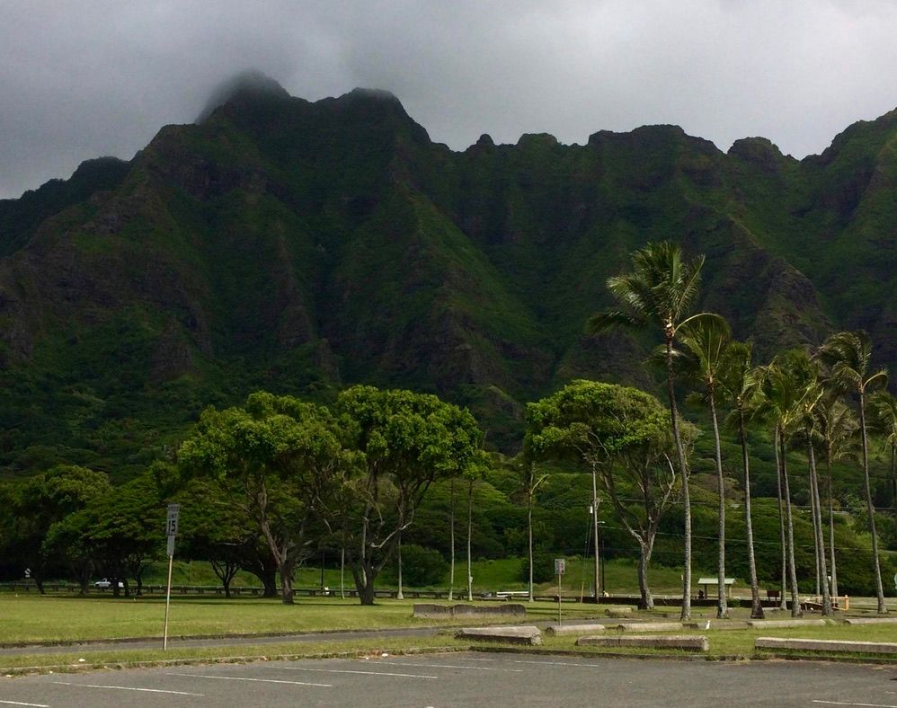 Mountain greenery, tropical, Hawaii