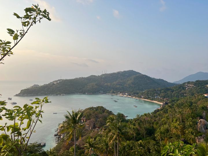 Birdseye view of John-Suwan Viewpoint, greenery, palmtree, ocean, Koh Tao 